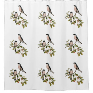 Cortina Para Box Vintage Bonito Birds em uma ramificação