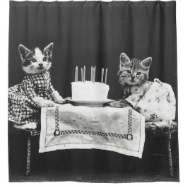 Cortina Para Box Vintage Cats numa Festa de aniversário