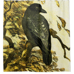 Cortina Para Box Vintage Crow Perch num galho Theo van Hoytema