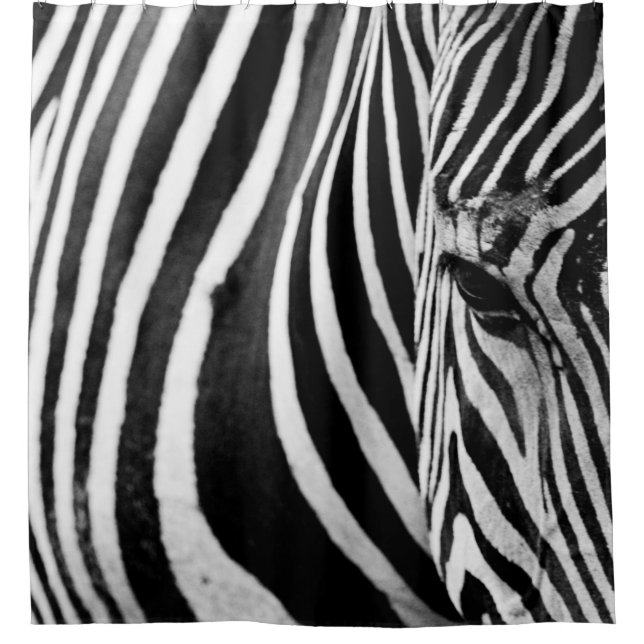 CORTINA PARA BOX VISUALIZAÇÃO DE FECHAMENTO DO ZEBRA (Frente)