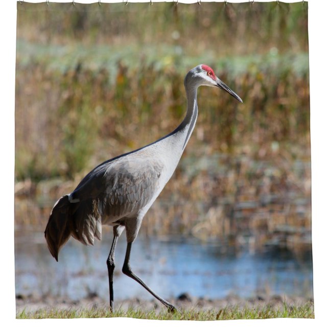 Cortina Para Box Walking Tall, Sandhill Crane (Frente)