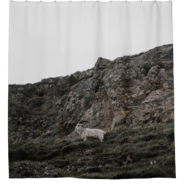 CORTINA PARA BOX WILD GOAT (Frente)