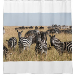 Cortina Para Box Zebra do Grant