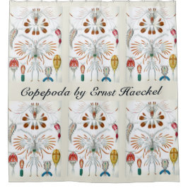Cortina Para Chuveiro Animais do Oceano Vintage, Copepoda por Ernst Haec