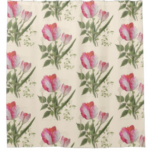 Cortina Para Chuveiro Arte botânica da tulipa do papagaio do vintage