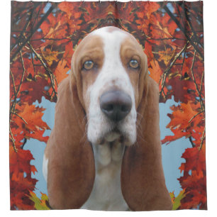 Cortina Para Chuveiro Basset Hound