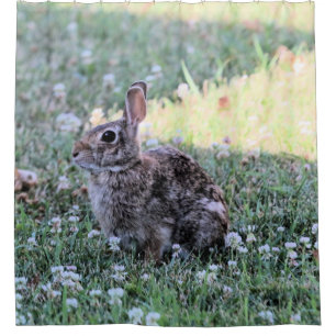 Cortina Para Chuveiro Bunny
