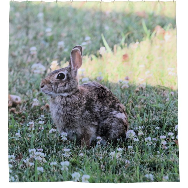 Cortina Para Chuveiro Bunny (Frente)