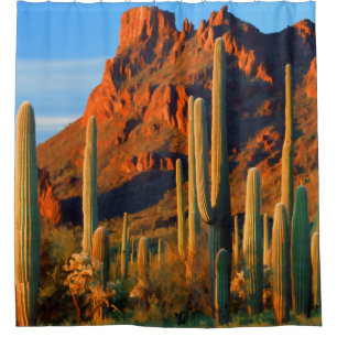 Cortina Para Chuveiro Cacto e montanhas do Saguaro do deserto de Arizon