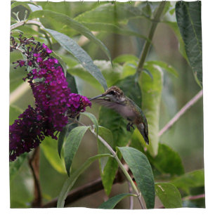 Cortina Para Chuveiro Colibri