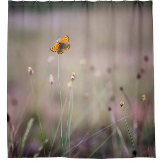 Cortina Para Chuveiro Cortina de chá da borboleta
