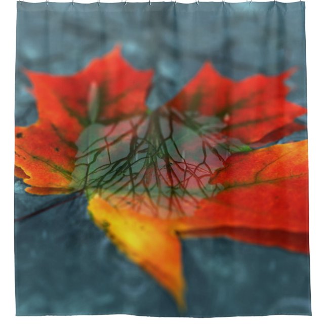 Cortina Para Chuveiro Cortina do Chá de Retroreflecção (Frente)