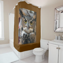 Coruja-excelente (Bubo virginianus)