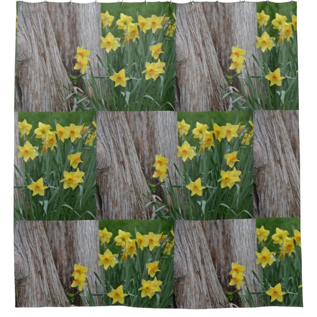 Cortina Para Chuveiro Daffodils Springtime (Frente)
