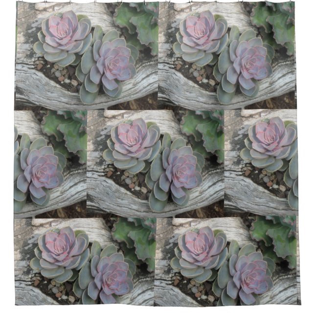 Cortina Para Chuveiro Echeveria Succulent Pattern (Frente)