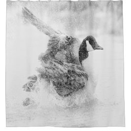 Cortina Para Chuveiro Ganso de Canadá que toma um banho