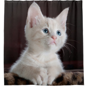 Cortina Para Chuveiro Gatinho bonito