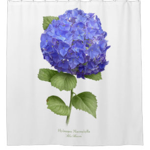 Cortina Para Chuveiro Hydrangea azul