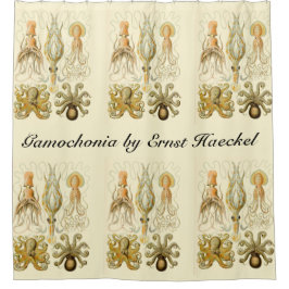 Cortina Para Chuveiro Lula Polvo Gamochonia Vintage por Ernst Haeckel