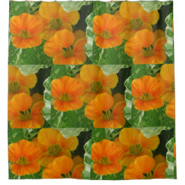 Cortina Para Chuveiro Nastúrbios brilhantes