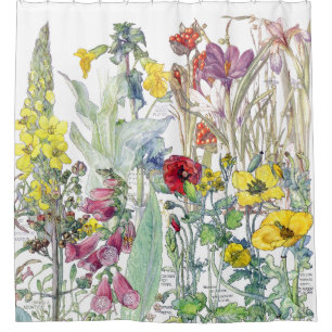 Cortina Para Chuveiro O Foxglove botânico do açafrão floresce a corti