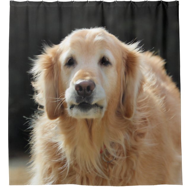 Cortina Para Chuveiro Oldie Goldie (Frente)