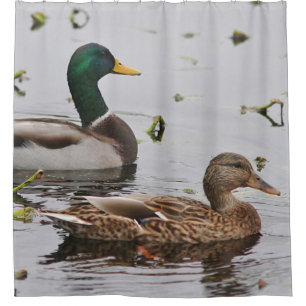 Cortina Para Chuveiro Pares de patos do pato selvagem