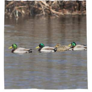 Cortina Para Chuveiro Patos do pato selvagem