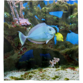 Cortina Para Chuveiro Peixes do azul do mar