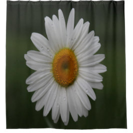 Cortina Para Chuveiro Pingos de chuva nas pétalas