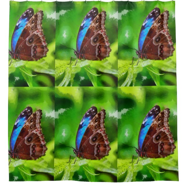 Cortina Para Chuveiro Pintura da borboleta (Frente)