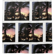 Por do sol da palmeira