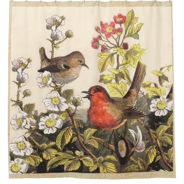Cortina Para Chuveiro Primavera Robin Birds Red Birds (Frente)