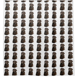Cortina Para Chuveiro Teste padrão do cão de Labrador do chocolate