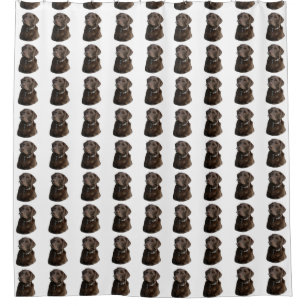 Cortina Para Chuveiro Teste padrão do cão de Labrador do chocolate