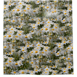 Cortina Para Chuveiro Um Campo de Visitas Oxeye
