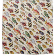 Variedades de peixes