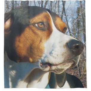 Cortina Para Chuveiro Walker Coonhound de Treino Bonito