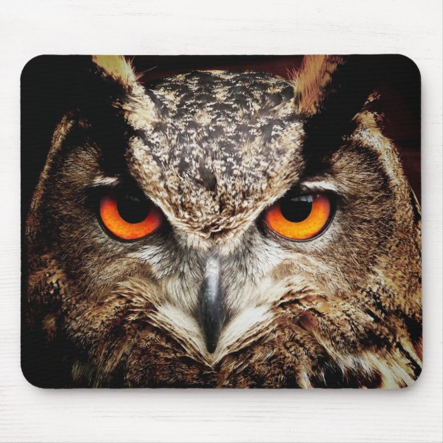 Coruja 3 Mousepads (Frente)