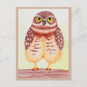 Coruja cartão postal