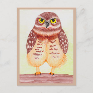 Coruja cartão postal