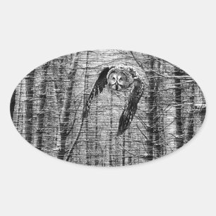 Coruja de Cinzas excelentes em autocolantes branco