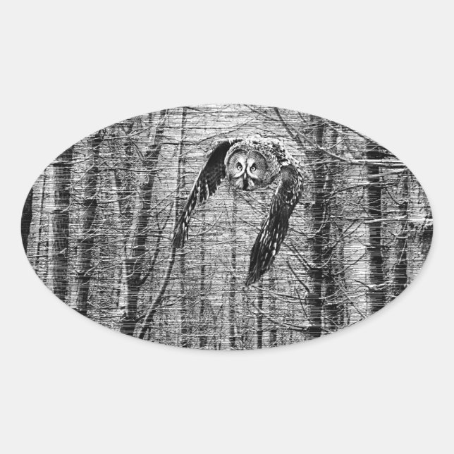 Coruja de Cinzas excelentes em autocolantes branco (Frente)
