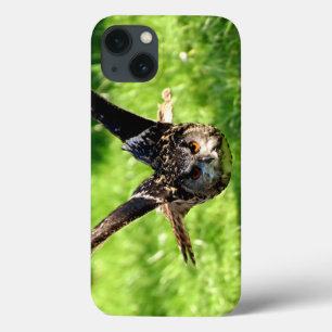 Coruja de Eagle selvagem no vôo completo