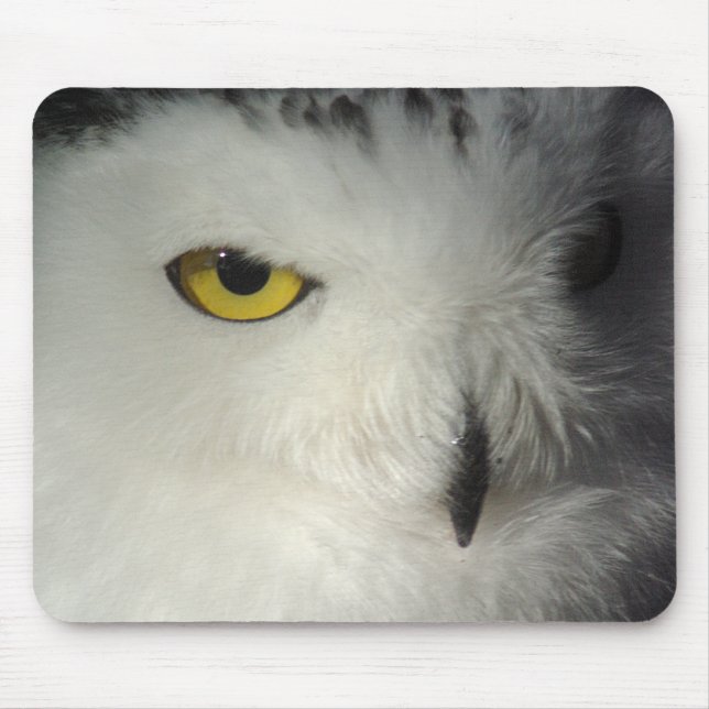 Coruja nevado Mousepad (Frente)