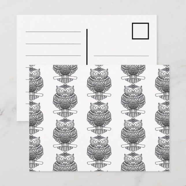 Coruja (padrão branco) - Cartão postal (Frente/Verso)