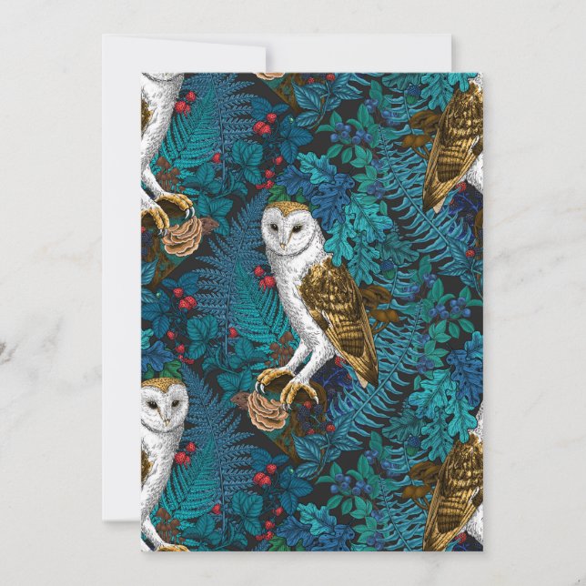 Corujas, samambaias, carvalho e bagas 3 (Frente)