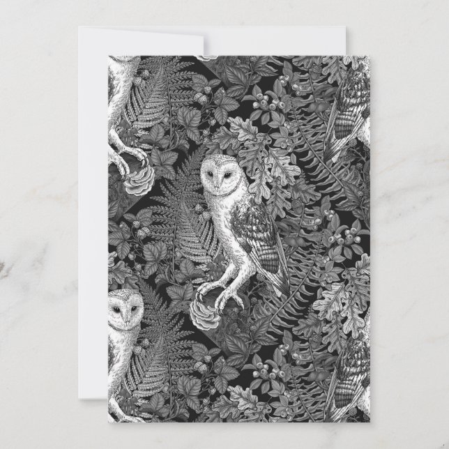 Corujas, samambaias, carvalho e bagas 4 (Frente)