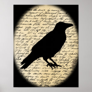 Corvo assustador no poster envelhecido do texto