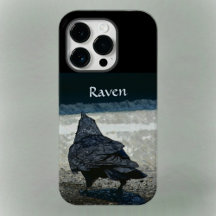 Corvo Gótico de Cinzas e Corvo Negro